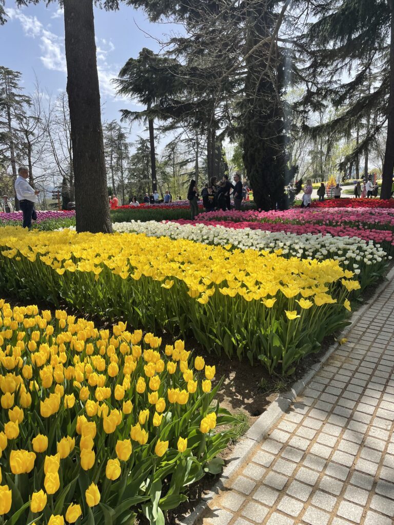 Tulip Festival in Istanbul