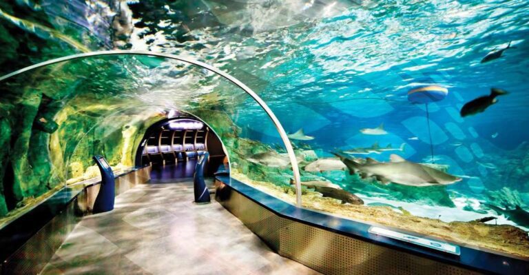 Istanbul Aquarium: Opening Hours, Entry Free, Things to Do, and Tips for Visiting (2024)