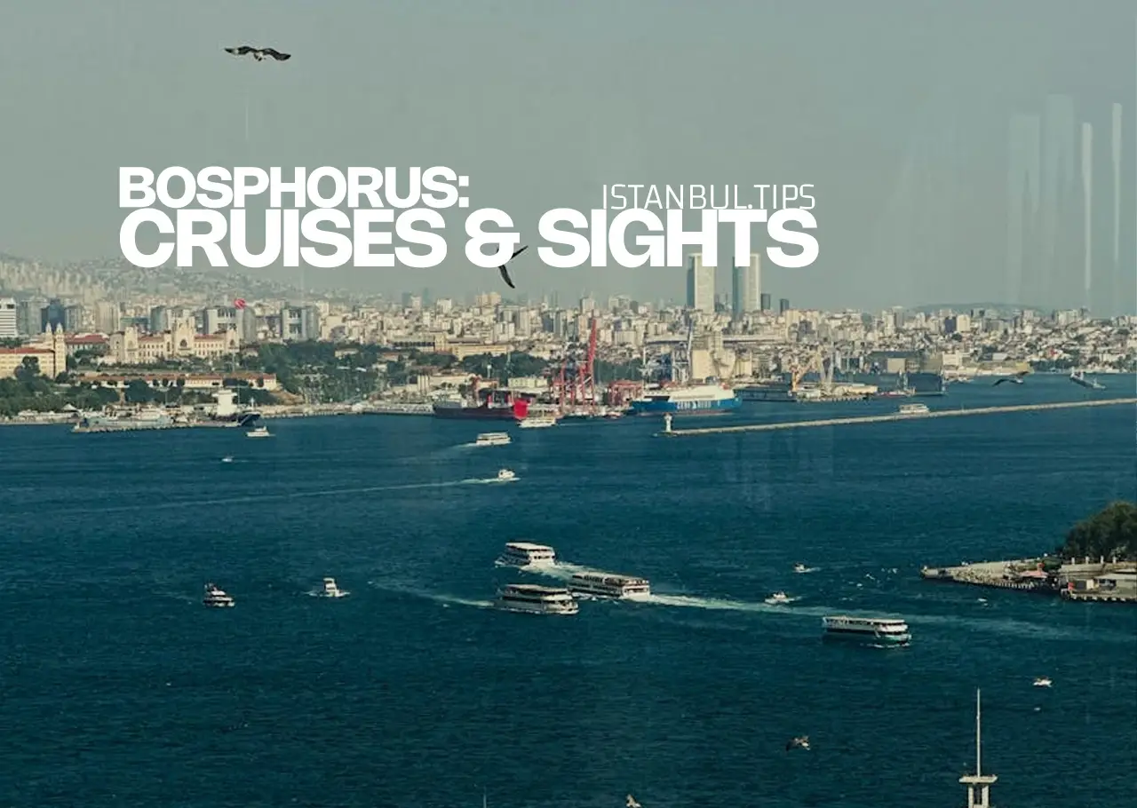 A view of the Bosphorus in Istanbul, with ships and the city’s skyline in the background.
