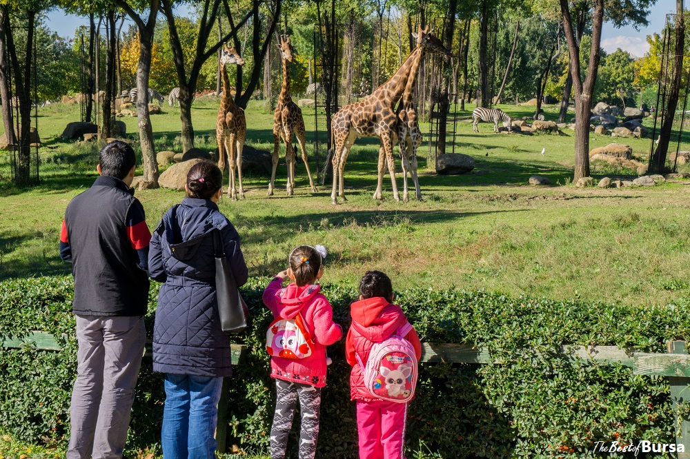 Kids in Bursa Zoo