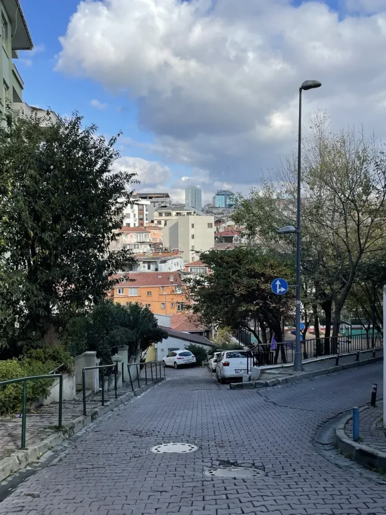 A quiet street on a hill in Beşiktaş, Istanbul, lined with trees and residential buildings.