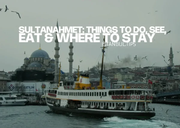 A view of Sultanahmet’s skyline, featuring the Blue Mosque and Hagia Sophia, as seen from a ferry on the Bosphorus.