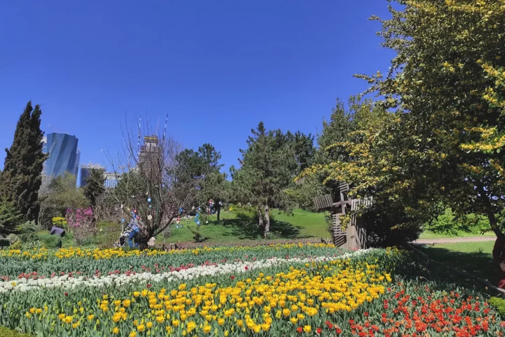 Colorful tulips in Nezahat Gökyiğit Botanical Garden.