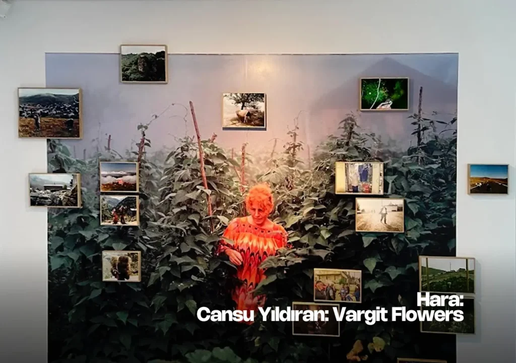 "Vargit Flowers" by Cansu Yıldıran, displayed at Hara gallery in Istanbul.