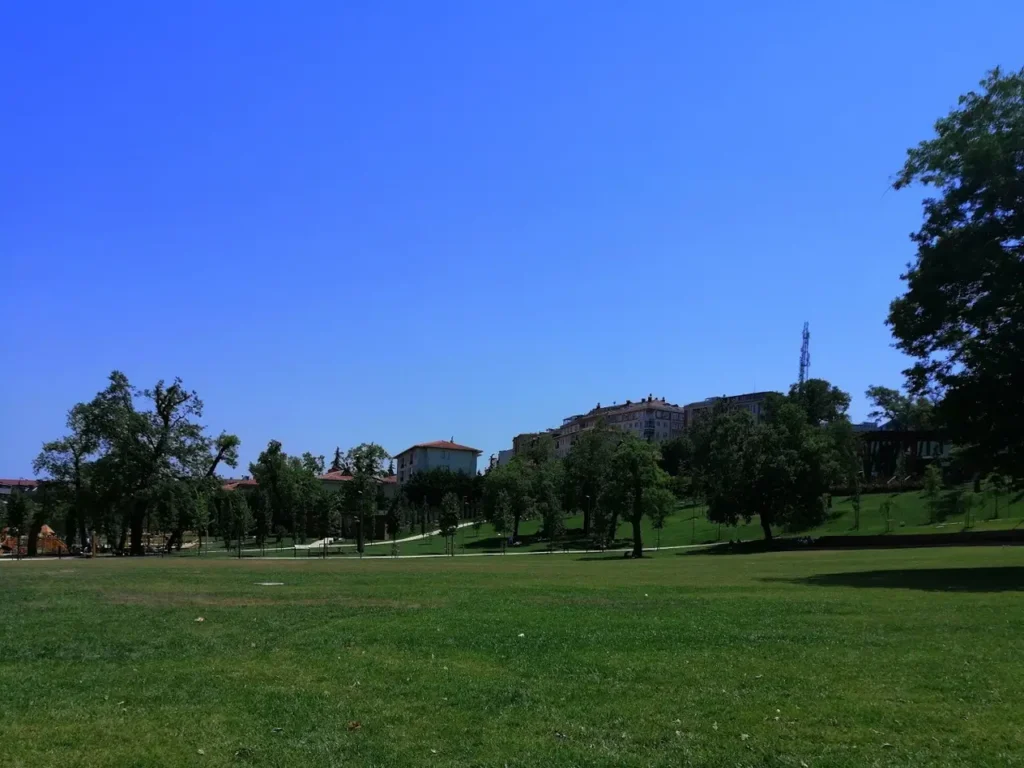 Grass and trees in Yakuplu City Forest, Beylikdüzü.