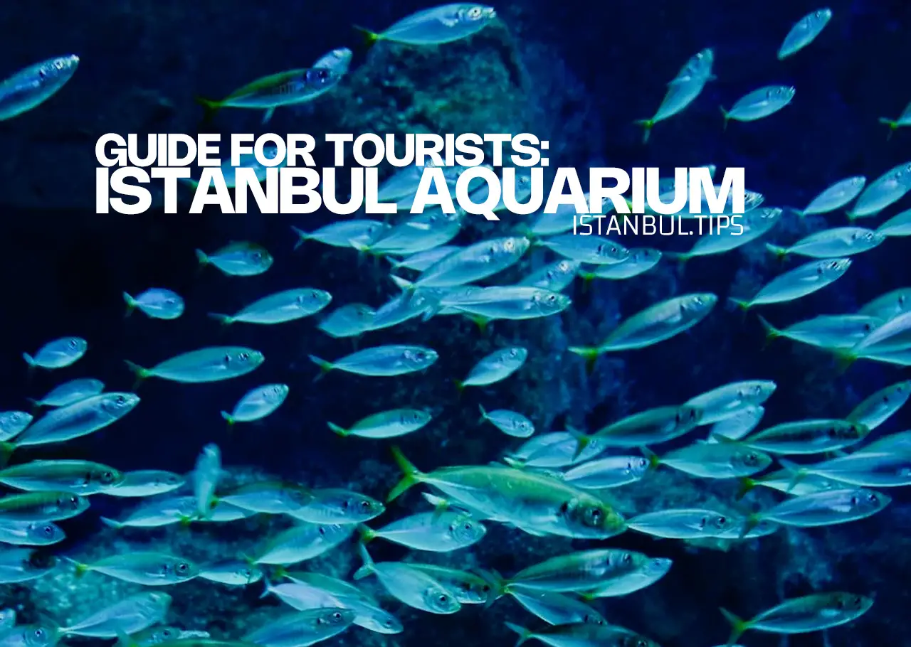 Cover image for an article about Istanbul Aquarium, showcasing its tanks and marine life.