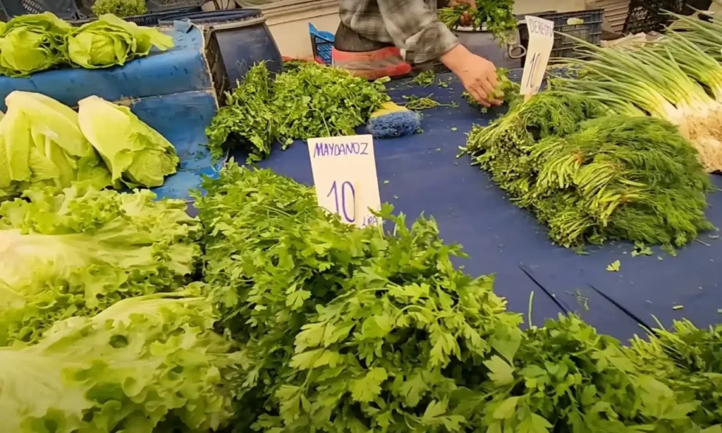 Fresh greens for sale at Fatih Çarşamba Pazarı, including spinach, parsley, and lettuce.
