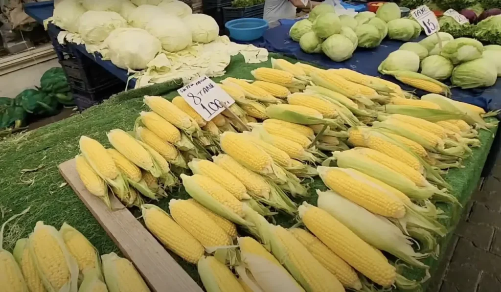 Fresh corn on display at Yeşilköy Market, held on Wednesdays.