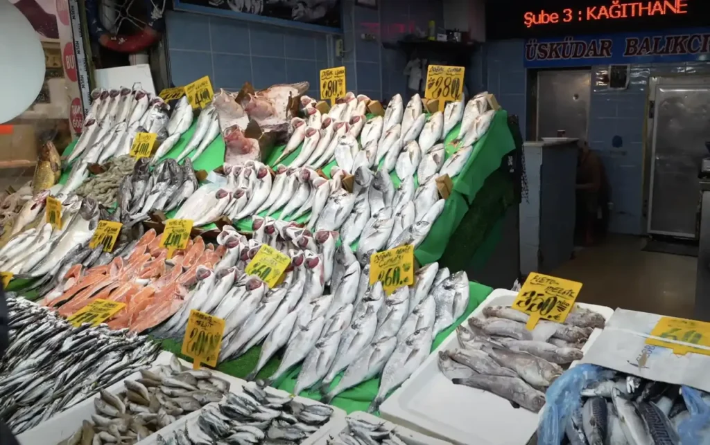 Fresh fish on display at a fish stand in an Istanbul street market.