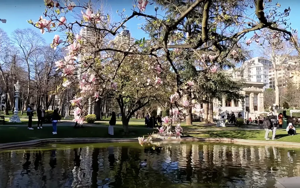 Cherry blossoms blooming in Ihlamur Gardens, adding color to the lush greenery in spring.